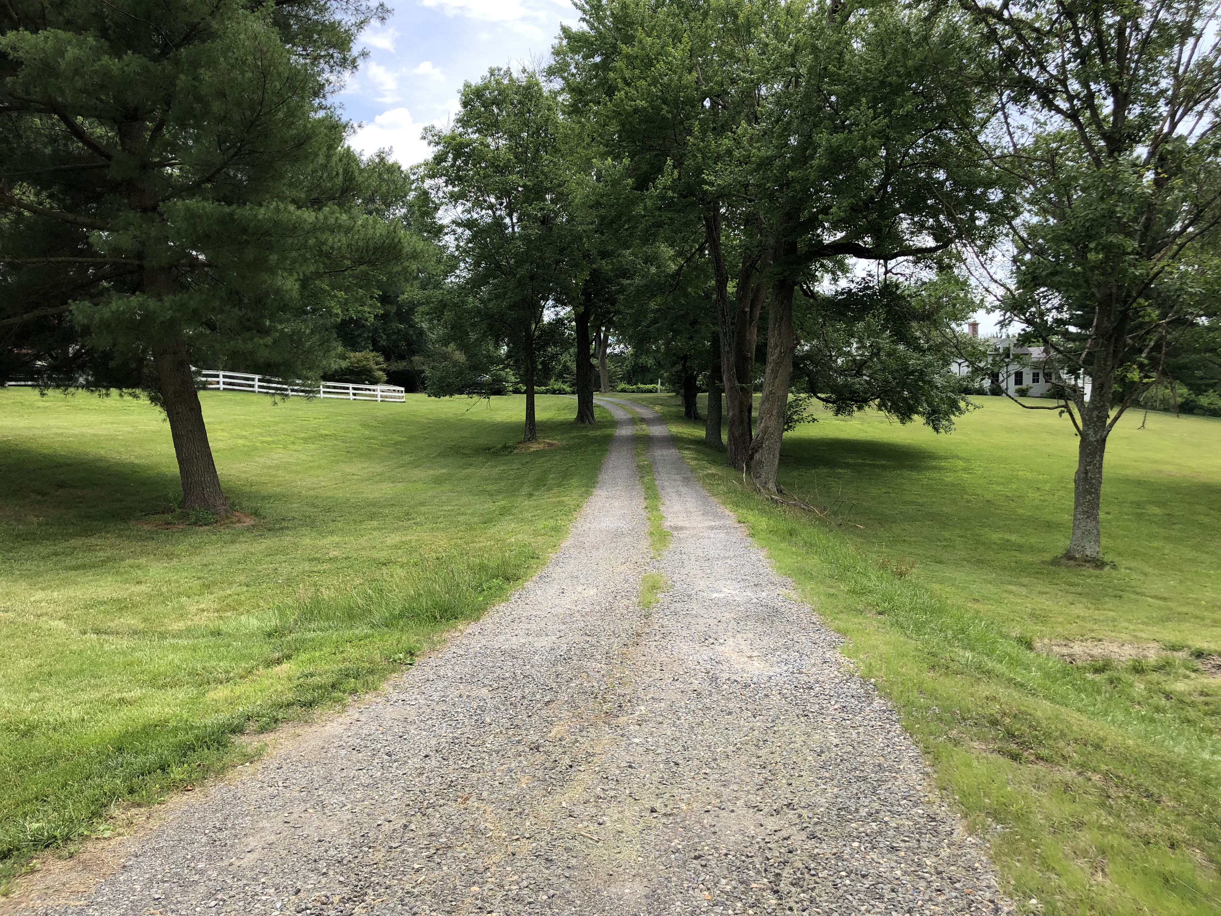 Tree-lined gravel driveway graded by Davis Septic